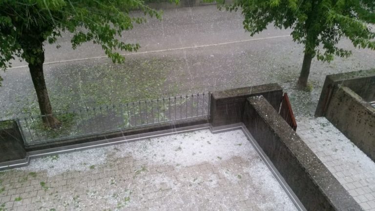 WhatsApp Image 2018-06-12 at 11.18.24 (2)