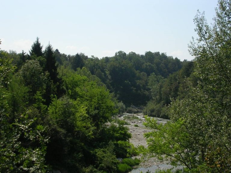 1096-2018 Sponda sx idrografica torr Cordevole