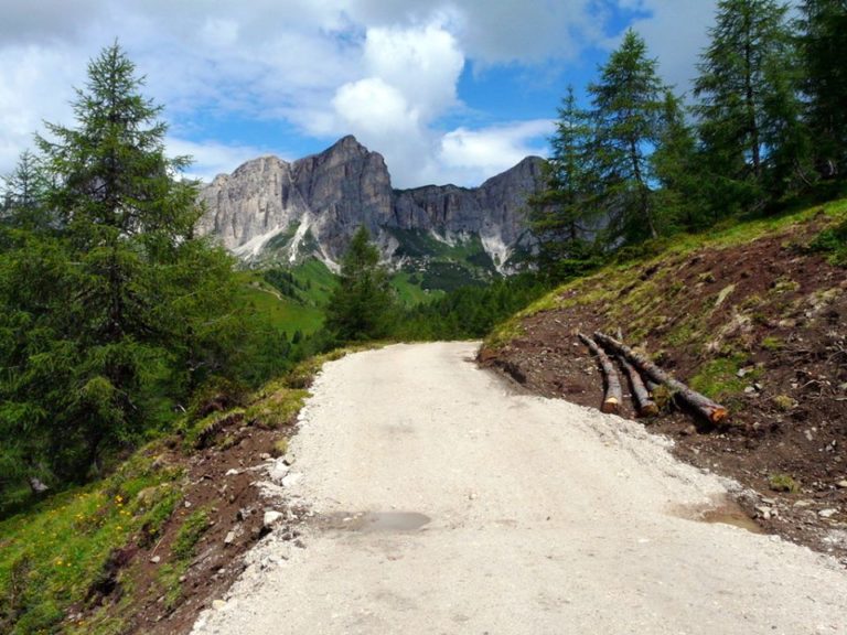 37227472_2141231519493848_2984486269054091264_n