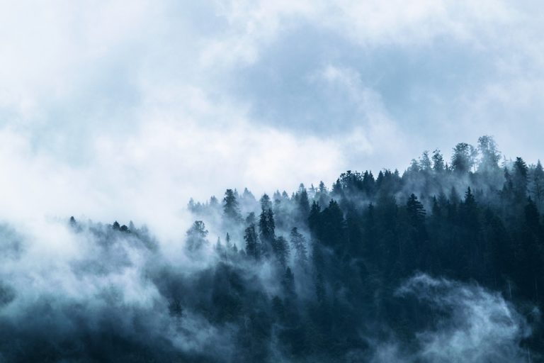 fog-1535201_960_720