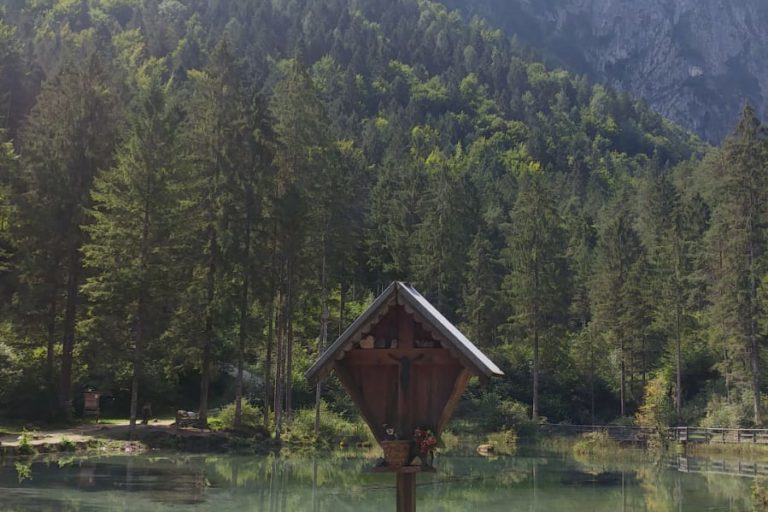 PESCHIERE (10)