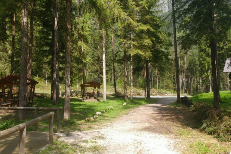 PESCHIERE (9)