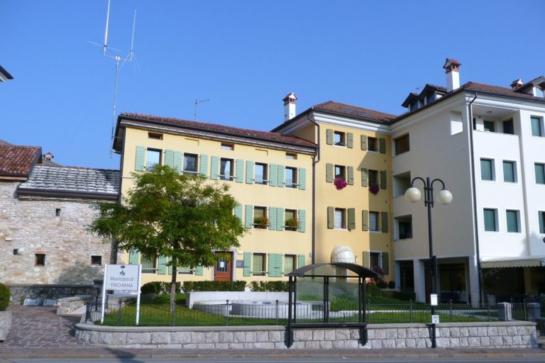 Trichiana5