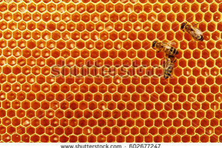 stock-photo-bee-honeycombs-with-honey-and-bees-apiculture-602677247