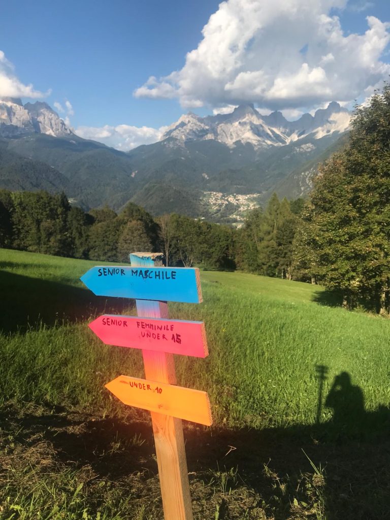 3156d96d-44db-418c-88e6-fe2afe5a4dde