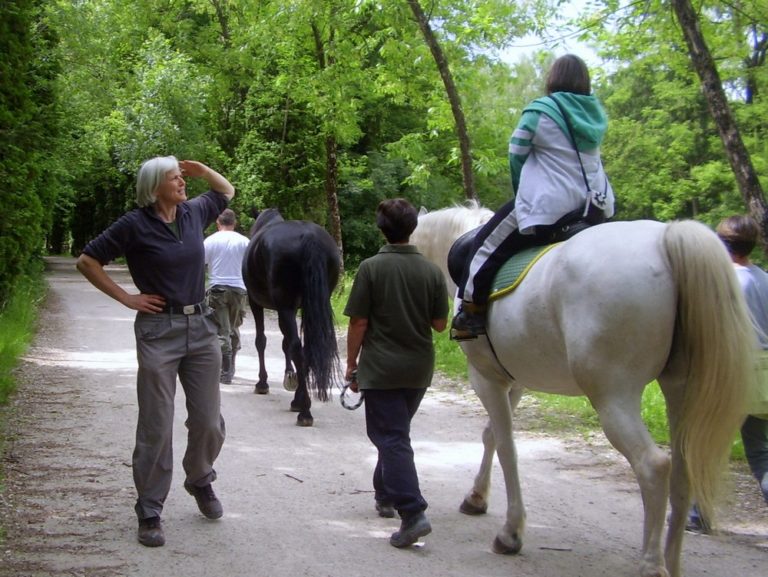 Raggruppamento veneto Giacche verdi (1)