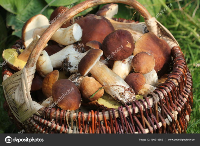 WhatsApp Image 2018-09-11 at 19.20.01