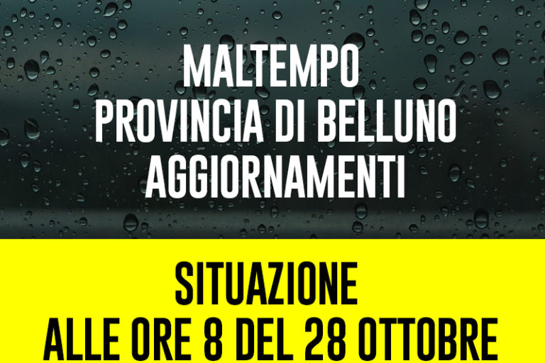 28-ore8