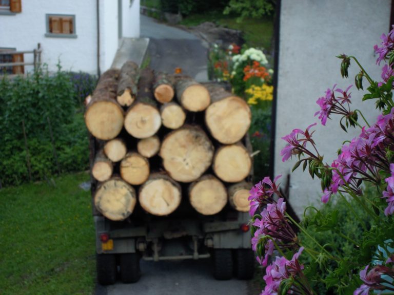 44808456_2241460466137916_950603793068720128_n (1)