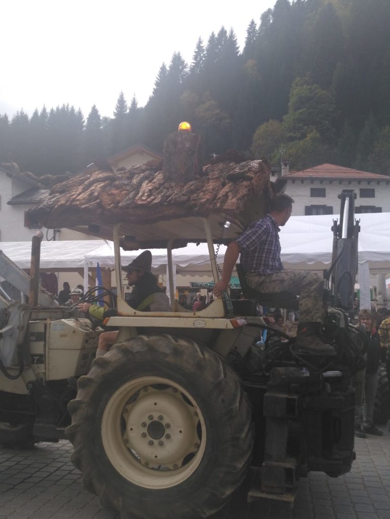 9e2fa003-ba39-49a8-b2f0-4e5d6e010cc6