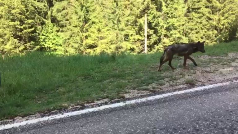 WhatsApp Image 2018-10-12 at 19.40.19