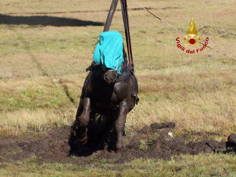 c681b6ba-18f8-4350-9365-aad079a242e2