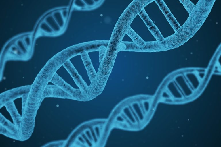 dna-1811955_1280
