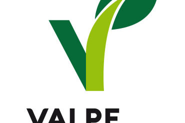 logo valpe verticale