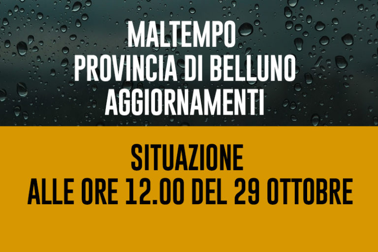malt-12-29
