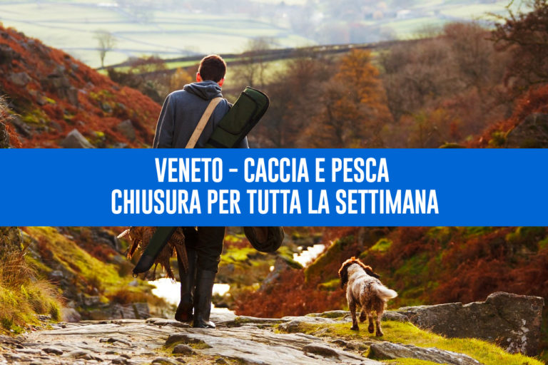 veneto