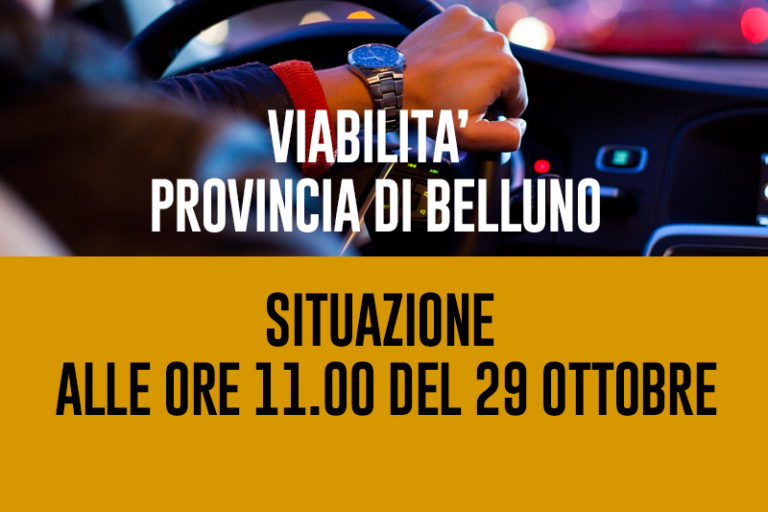 viabilita-11-29