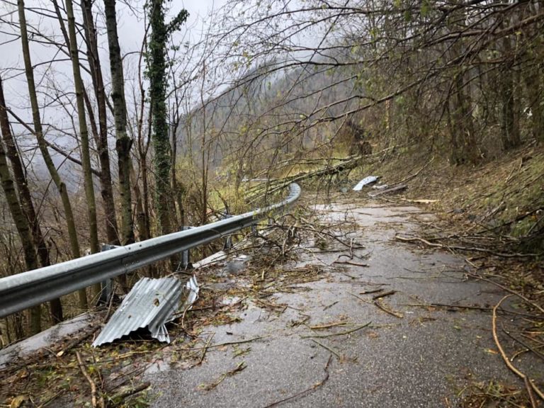 45315462_224660981791297_7199902026178756608_n