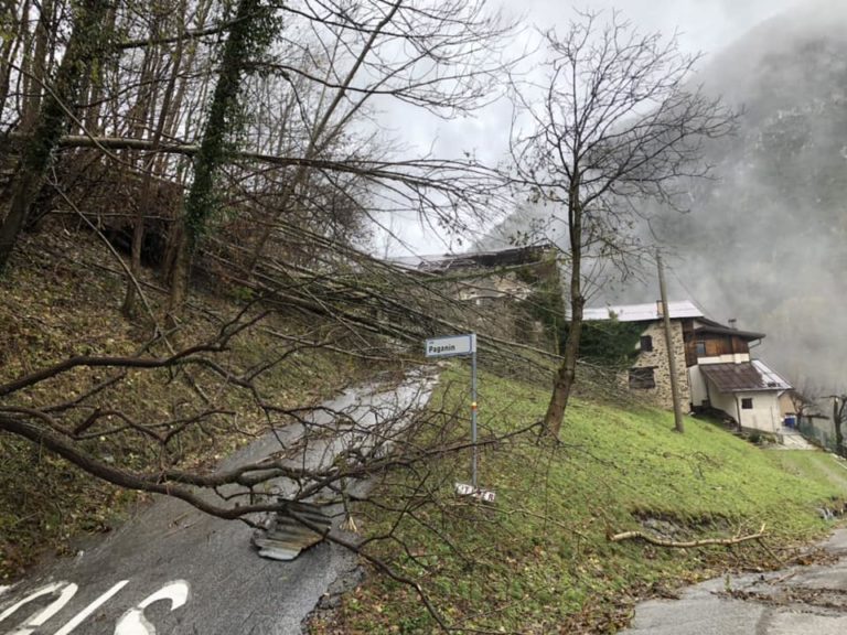 45319875_224661138457948_2430472390229098496_n