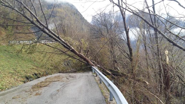 45401790_224661081791287_3711587828124090368_n