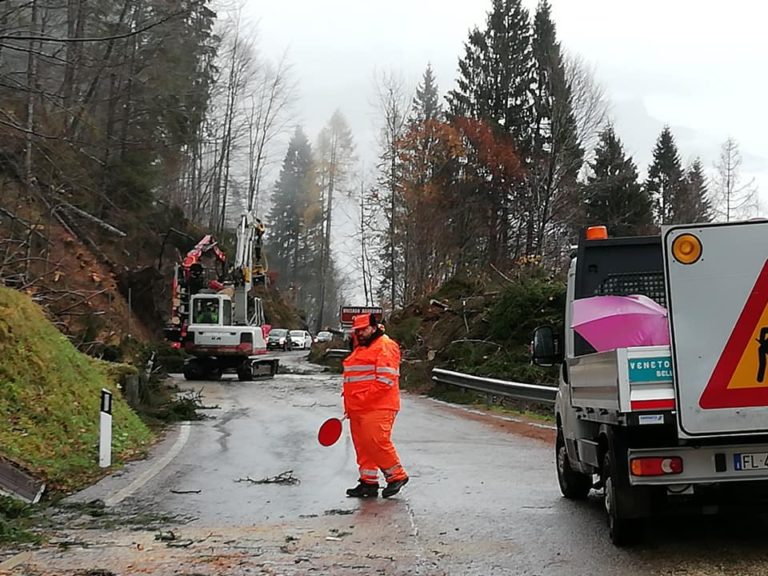 45434342_1596075780492532_93421508692541440_n