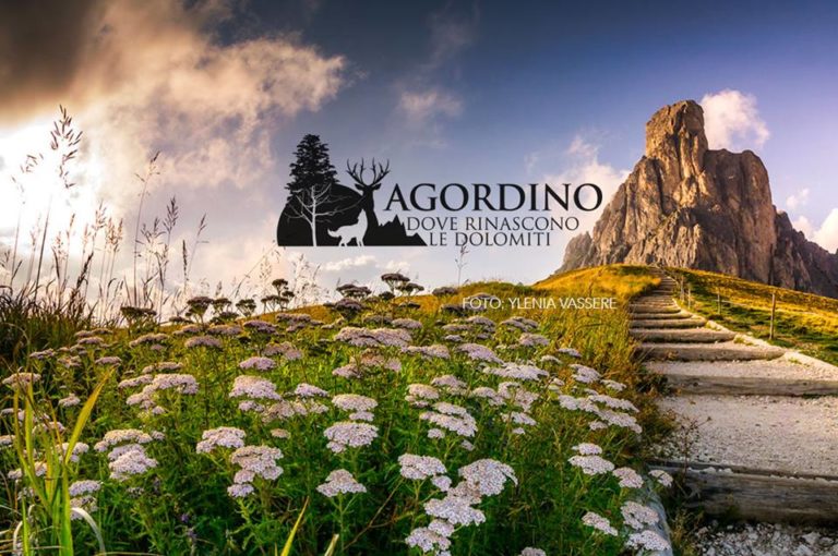 45608336_10218426199232807_2266772323082174464_n