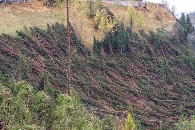 46850100_2084189858316807_7711443982730919936_n