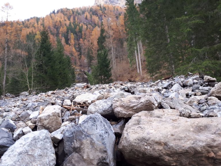 51f198cb-ac75-43aa-9dd5-81b304be8224