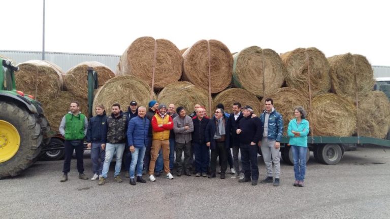 PHOTO-2018-11-27-13-51-55_2