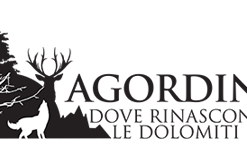 agordino-rinascono-dolomiti