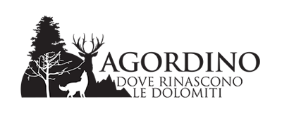 agordino-rinascono-dolomiti