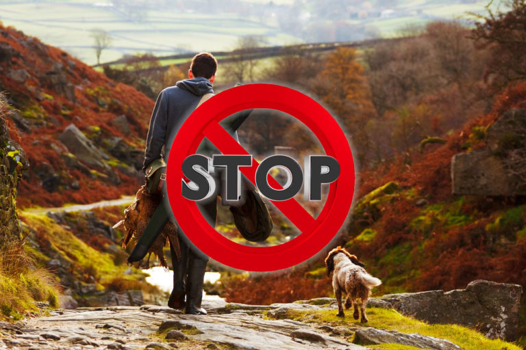 cacciastop