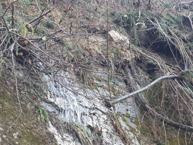 d12c2857-06f6-4115-895f-8af7b80e692b