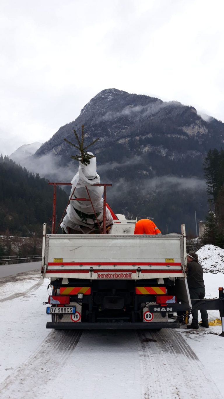 1785f7e4-e72e-4815-96d2-d5072a840c79