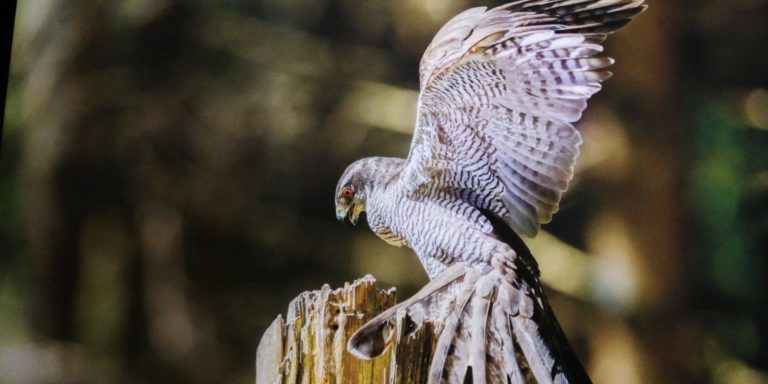 WhatsApp Image 2018-12-15 at 06.43.09