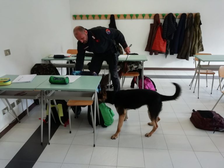 WhatsApp Image 2018-12-18 at 15.31.45