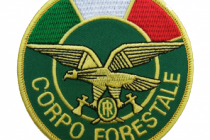 corpo-forestale-sito-tondo-300×296-156988_210x210