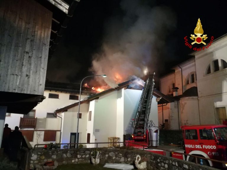 IMG_20190303_094348_272_wm