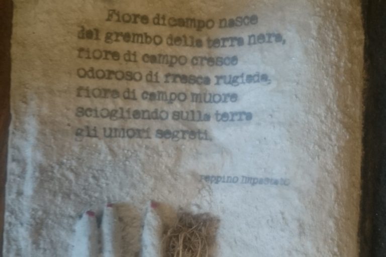 Una delle poesie