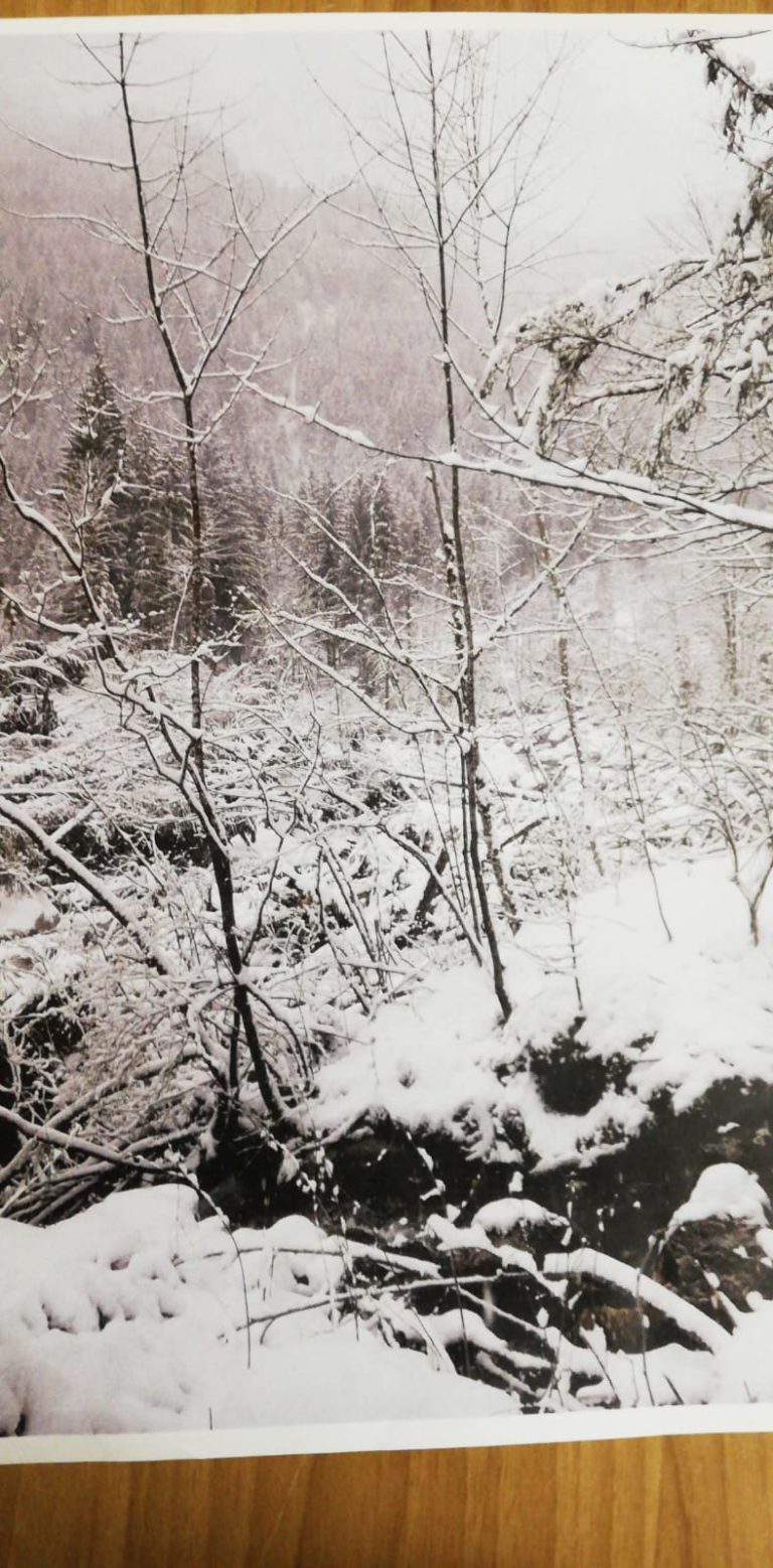 WhatsApp Image 2019-03-01 at 19.03.10