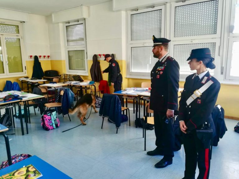 WhatsApp Image 2019-03-13 at 15.18.16