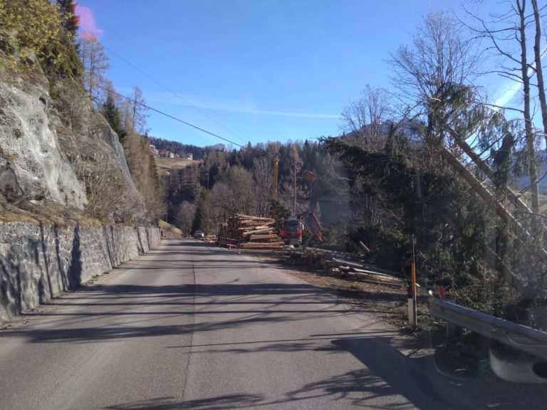 WhatsApp Image 2019-03-22 at 08.50.04