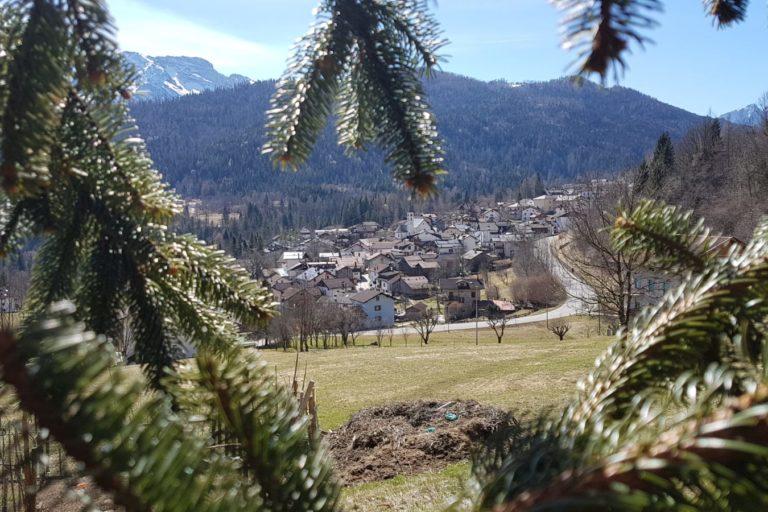 voltago (2)