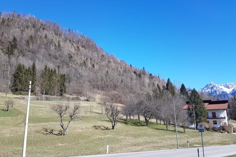 voltago (3)