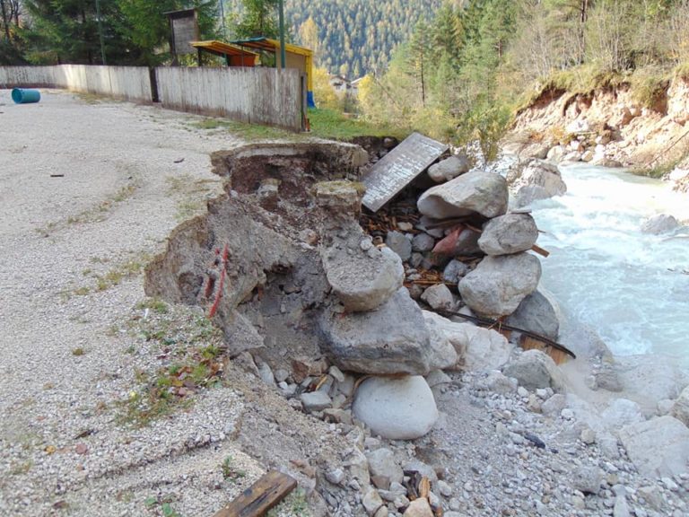 56222396_786741865029057_6858656034014101504_n