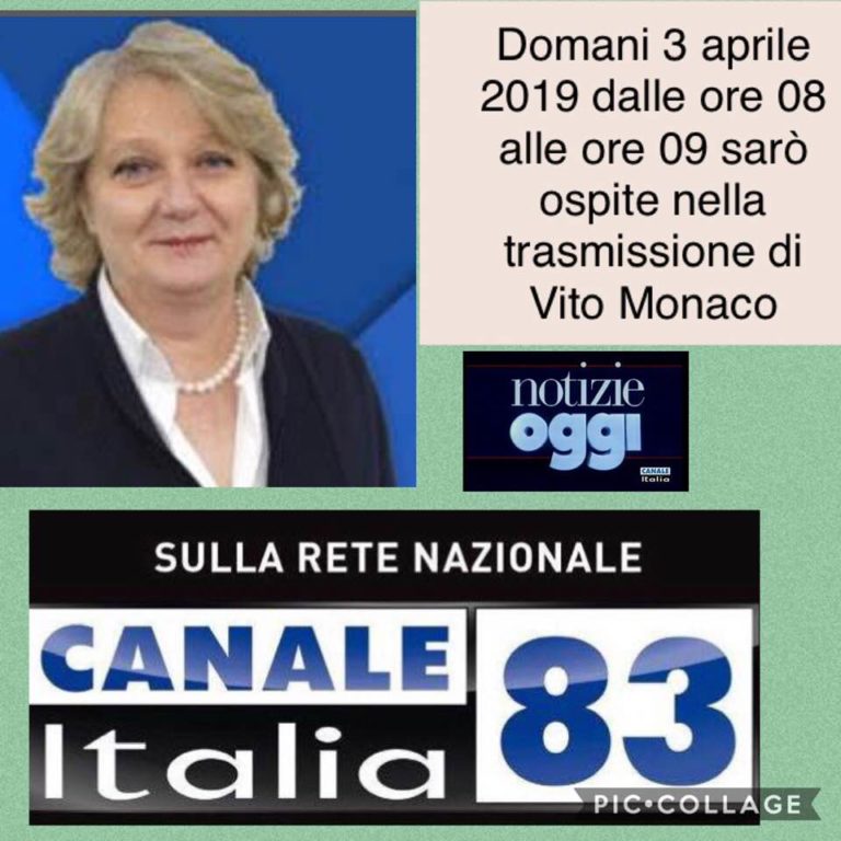 56563242_1291081977696231_7678659883180228608_n