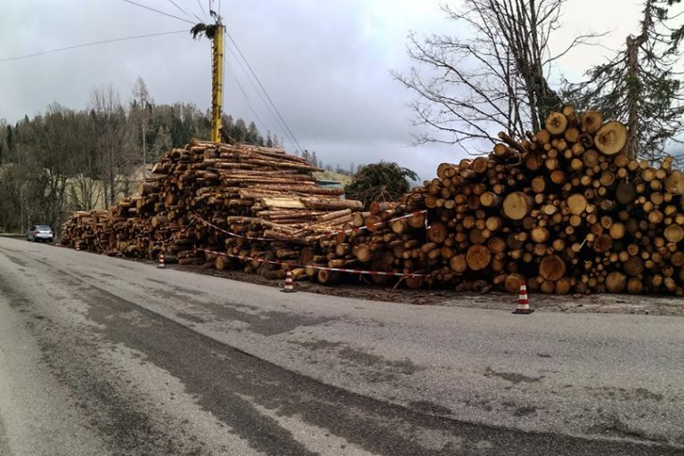 57606635_2304808496509289_5324084542938546176_n