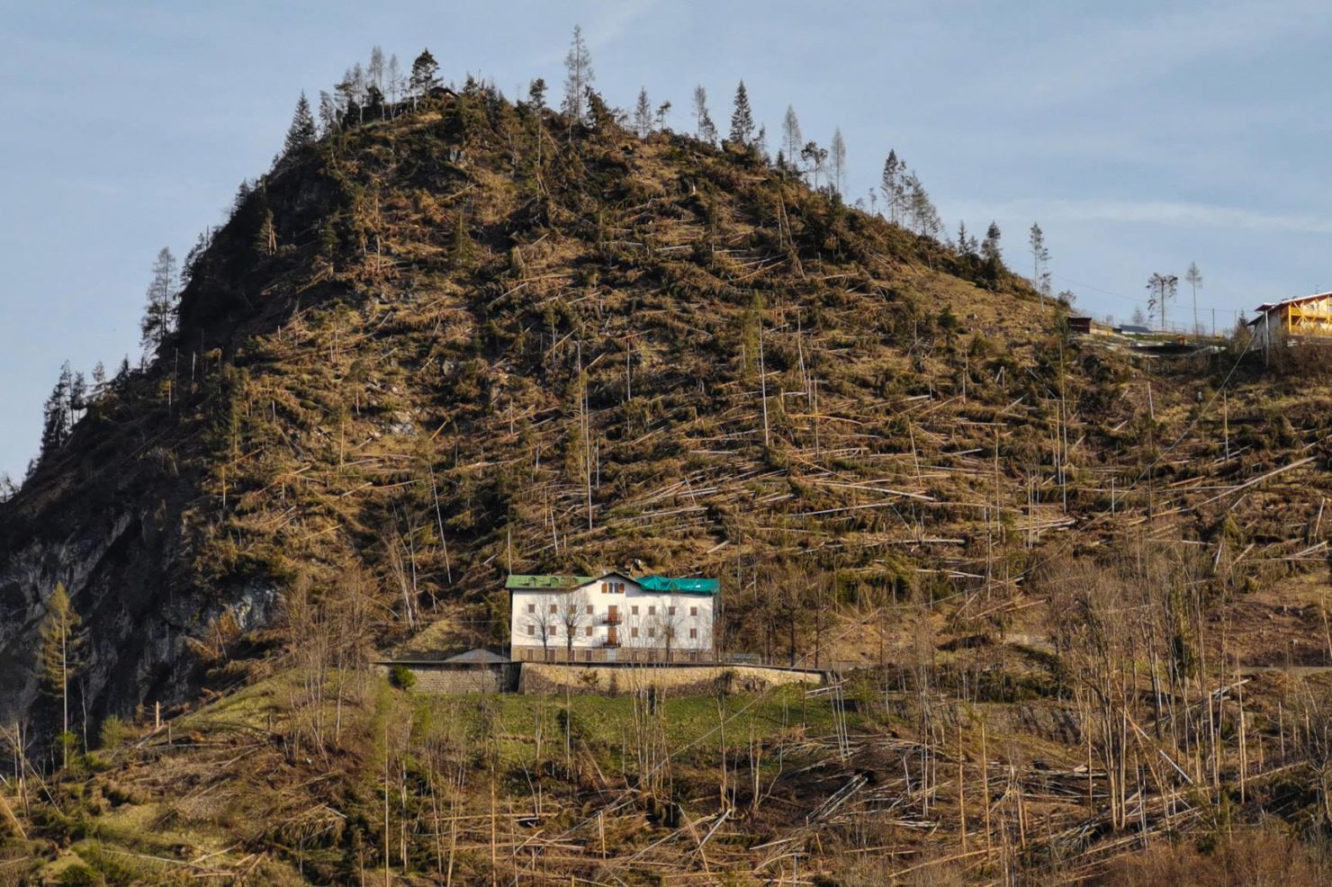 57963939_2304808649842607_509480359365181440_o