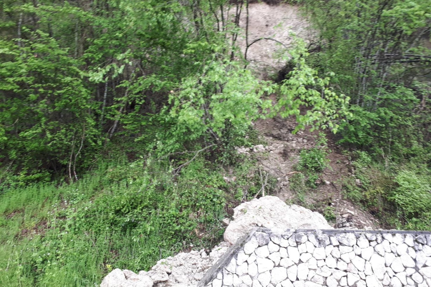 58714796_2419324794841132_5640799928176345088_n