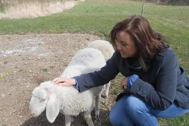 FOTO X SITO BRANDOLESE